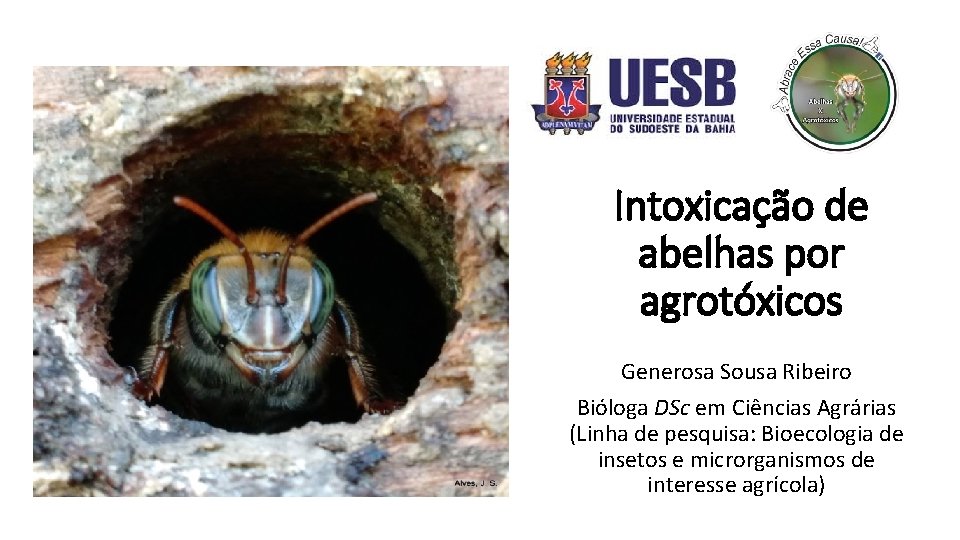 Intoxicação de abelhas por agrotóxicos Generosa Sousa Ribeiro Bióloga DSc em Ciências Agrárias (Linha