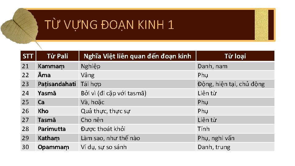 TỪ VỰNG ĐOẠN KINH 1 STT 21 22 23 24 25 26 27 28