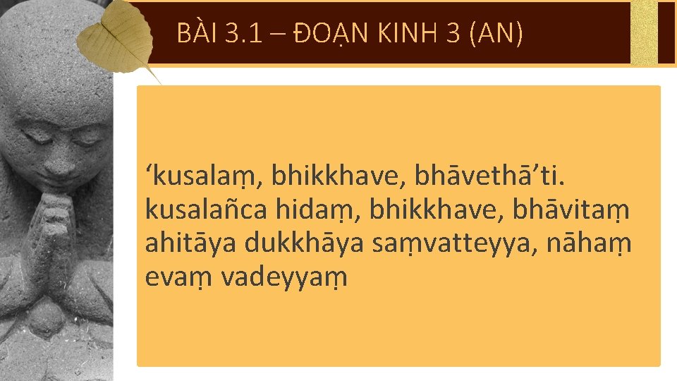 BÀI 3. 1 – ĐOẠN KINH 3 (AN) ‘kusalaṃ, bhikkhave, bhāvethā’ti. kusalañca hidaṃ, bhikkhave,