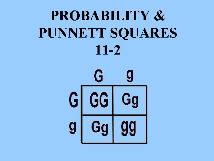 PROBABILITY & PUNNETT SQUARES 11 -2 