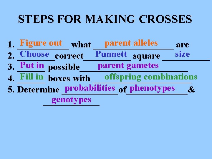 STEPS FOR MAKING CROSSES Figure out what _________ parent alleles 1. ______ are Choose