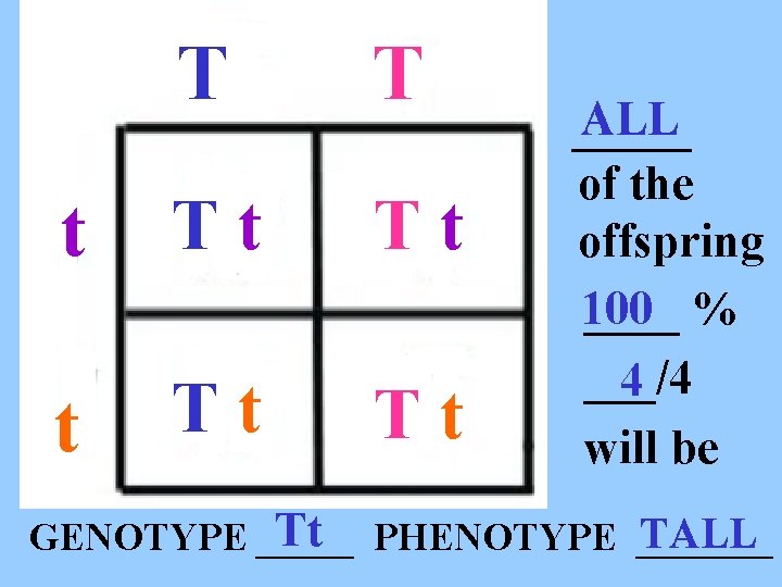 T T t Tt Tt ALL _____ of the offspring 100 ____ % ___/4