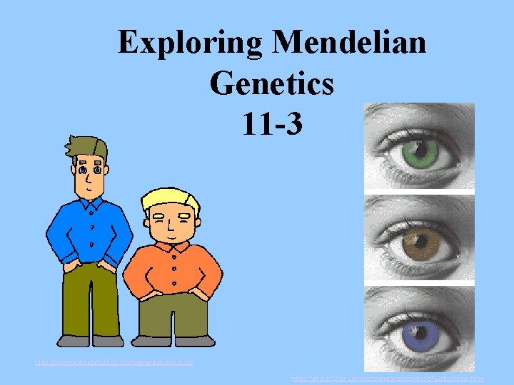 Exploring Mendelian Genetics 11 -3 http: //www. eslkidstuff. com/images/tallshort. gif http: //sps. k 12.
