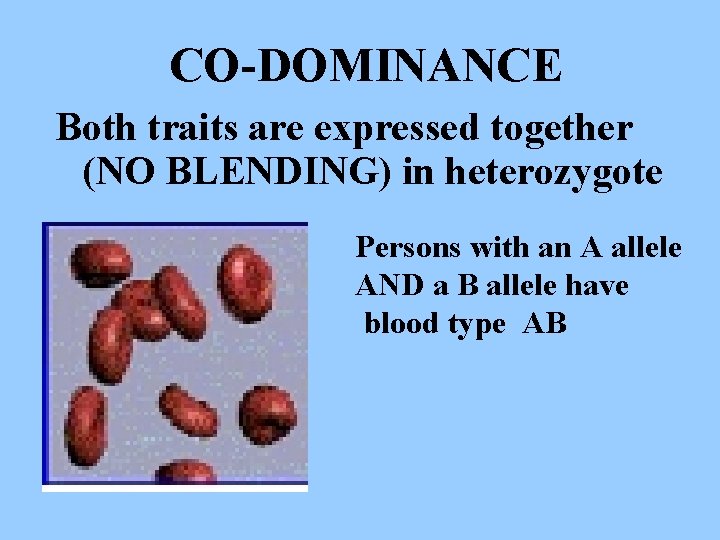 CO-DOMINANCE Both traits are expressed together (NO BLENDING) in heterozygote Persons with an A