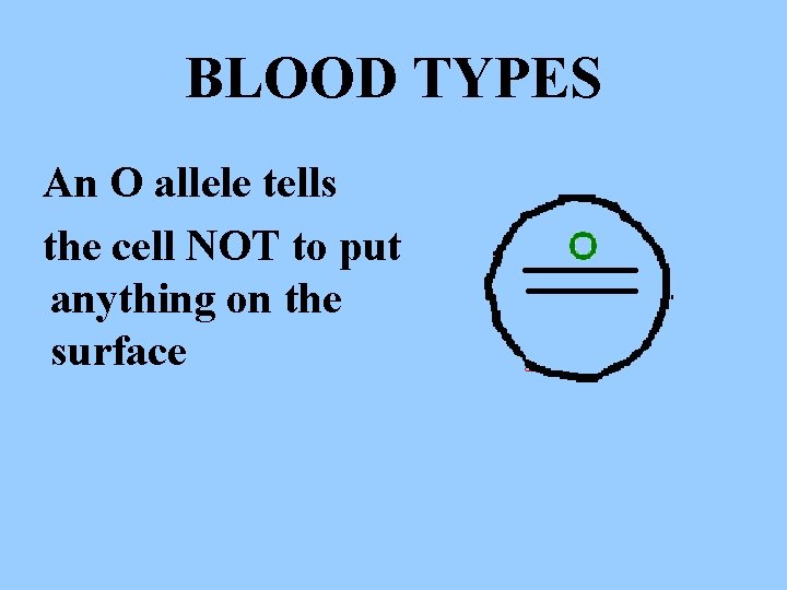 BLOOD TYPES An O allele tells the cell NOT to put anything on the