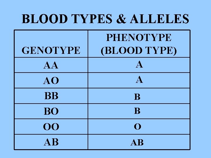 BLOOD TYPES & ALLELES GENOTYPE AA AO BB BO OO AB PHENOTYPE (BLOOD TYPE)