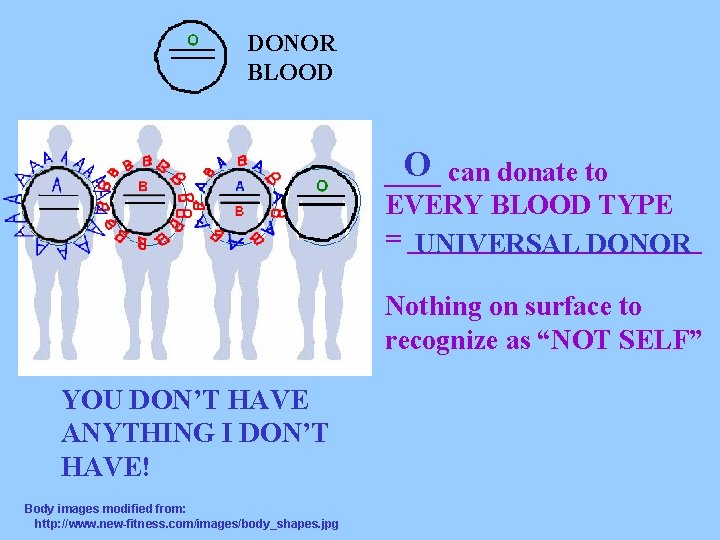 DONOR BLOOD O can donate to ____ EVERY BLOOD TYPE = ___________ UNIVERSAL DONOR