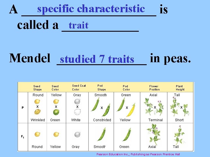 specific characteristic is A ___________ trait called a ______ Mendel _______ studied 7 traits