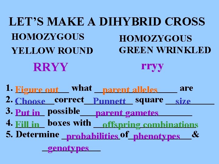 LET’S MAKE A DIHYBRID CROSS HOMOZYGOUS YELLOW ROUND RRYY HOMOZYGOUS GREEN WRINKLED rryy 1.