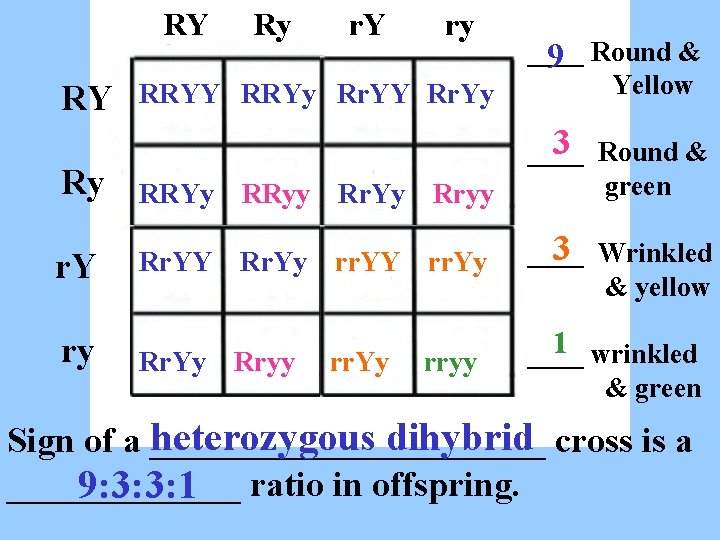 RY Ry r. Y ry RRYY RRYy Rr. YY Rr. Yy ____ 9 Round