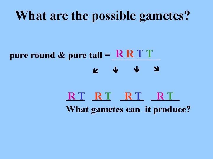 What are the possible gametes? RRTT pure round & pure tall = _____ R