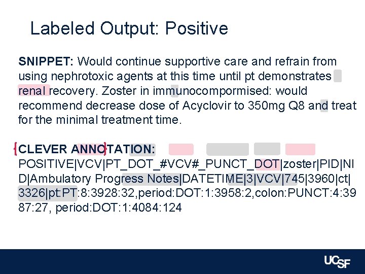 Labeled Output: Positive SNIPPET: Would continue supportive care and refrain from using nephrotoxic agents