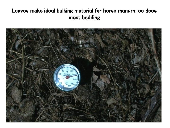 Leaves make ideal bulking material for horse manure; so does most bedding 