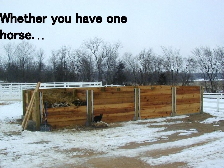 Whether you have one horse. . . 