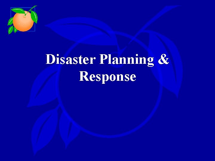Disaster Planning & Response 