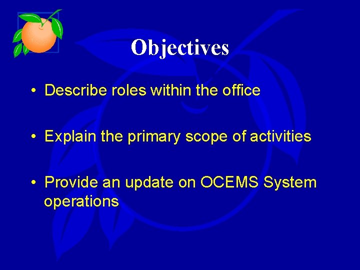 Objectives • Describe roles within the office • Explain the primary scope of activities
