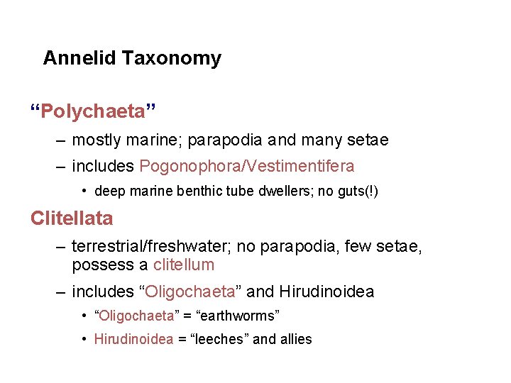 Annelid Taxonomy “Polychaeta” – mostly marine; parapodia and many setae – includes Pogonophora/Vestimentifera •