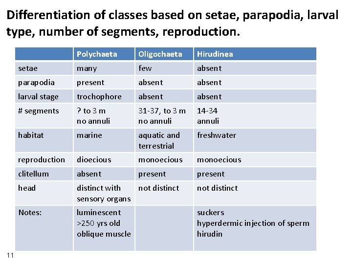 Differentiation of classes based on setae, parapodia, larval type, number of segments, reproduction. 11