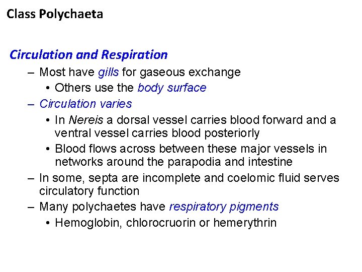 Class Polychaeta Circulation and Respiration – Most have gills for gaseous exchange • Others