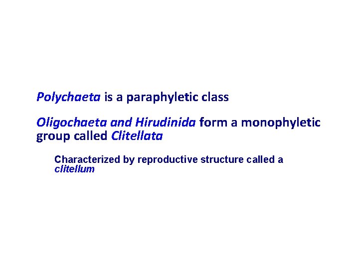 Polychaeta is a paraphyletic class Oligochaeta and Hirudinida form a monophyletic group called Clitellata