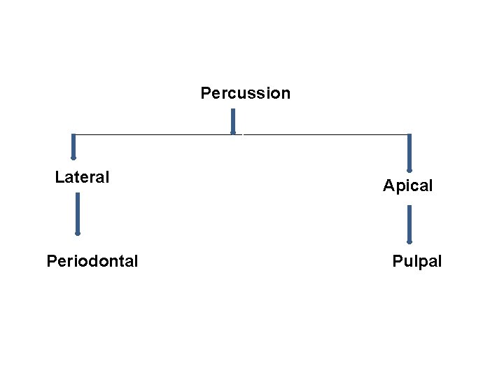 Percussion Lateral Periodontal Apical Pulpal Percussion Lateral Periodontal Apical Pulpal