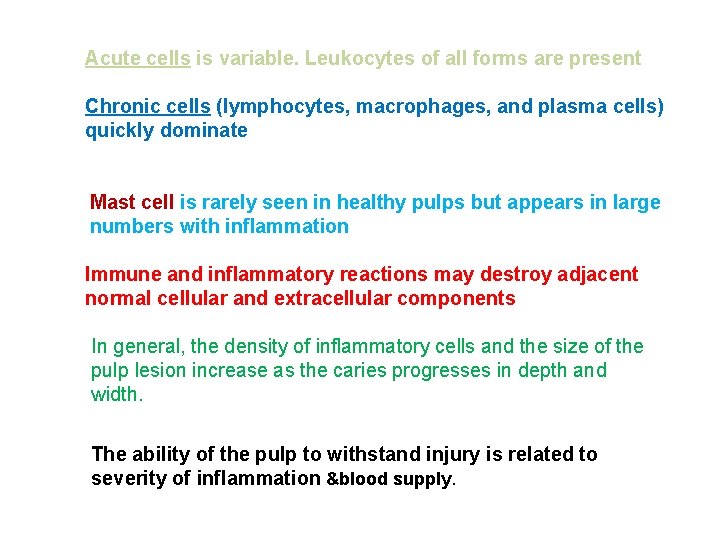 Acute cells is variable. Leukocytes of all forms are present Chronic cells (lymphocytes, macrophages, Acute cells is variable. Leukocytes of all forms are present Chronic cells (lymphocytes, macrophages,
