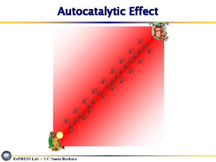 Autocatalytic Effect 