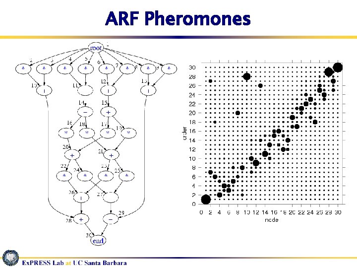 ARF Pheromones 