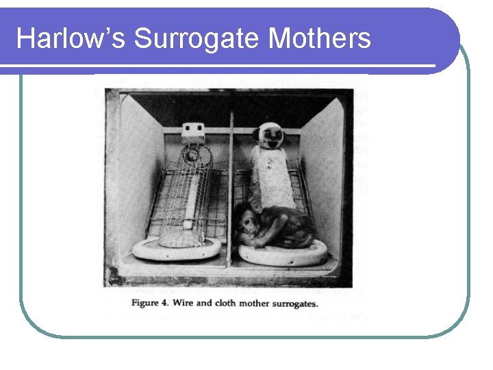 Harlow’s Surrogate Mothers 