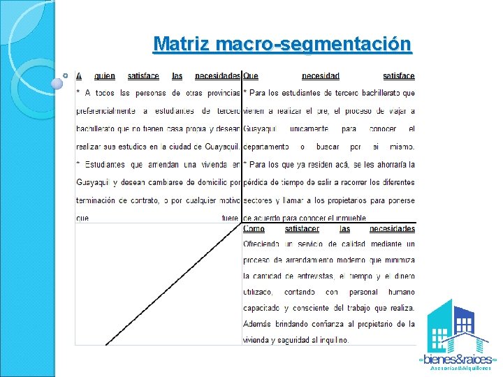 Matriz macro-segmentación 