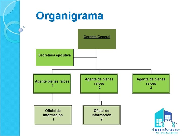 Organigrama 
