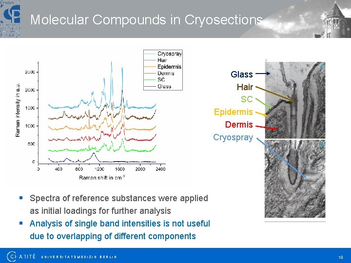 Molecular Compounds in Cryosections Glass Hair SC Epidermis Dermis Cryospray § Spectra of reference