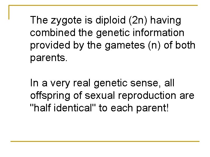 The zygote is diploid (2 n) having combined the genetic information provided by the