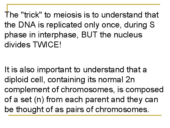 The "trick" to meiosis is to understand that the DNA is replicated only once,