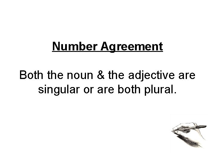 Number Agreement Both the noun & the adjective are singular or are both plural.