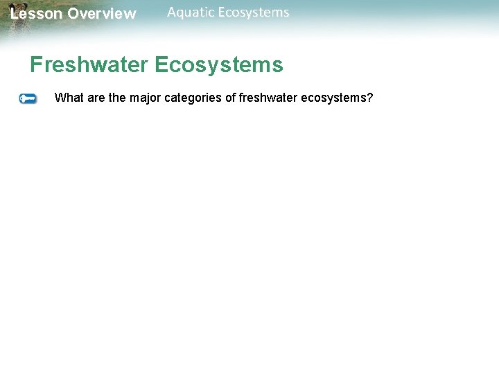 Lesson Overview Aquatic Ecosystems Freshwater Ecosystems What are the major categories of freshwater ecosystems?