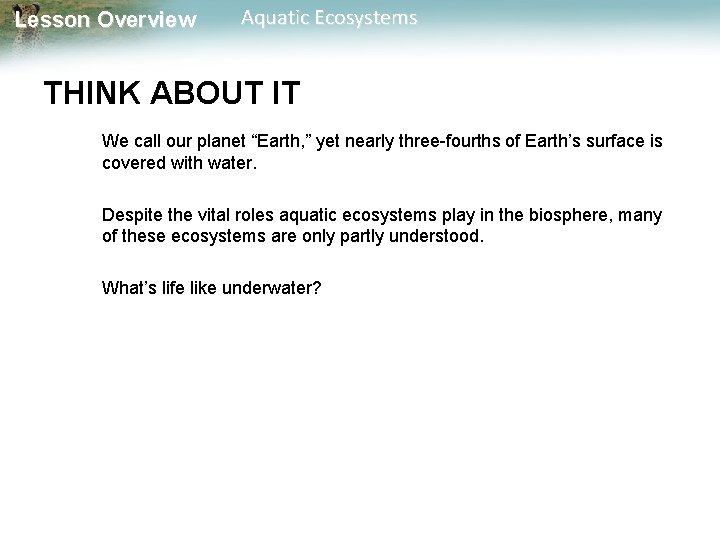 Lesson Overview Aquatic Ecosystems THINK ABOUT IT We call our planet “Earth, ” yet