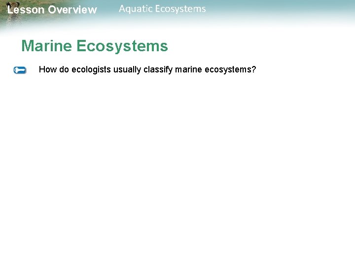 Lesson Overview Aquatic Ecosystems Marine Ecosystems How do ecologists usually classify marine ecosystems? 