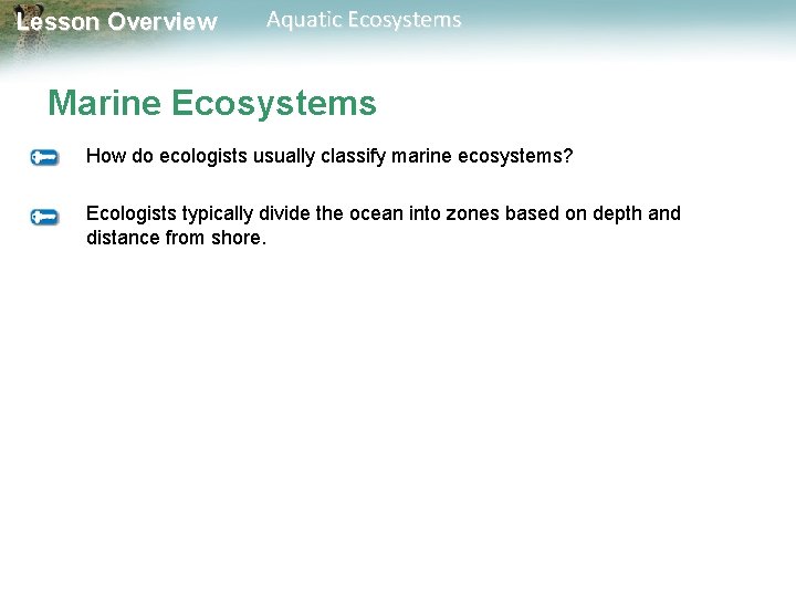 Lesson Overview Aquatic Ecosystems Marine Ecosystems How do ecologists usually classify marine ecosystems? Ecologists