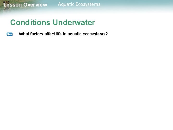 Lesson Overview Aquatic Ecosystems Conditions Underwater What factors affect life in aquatic ecosystems? 