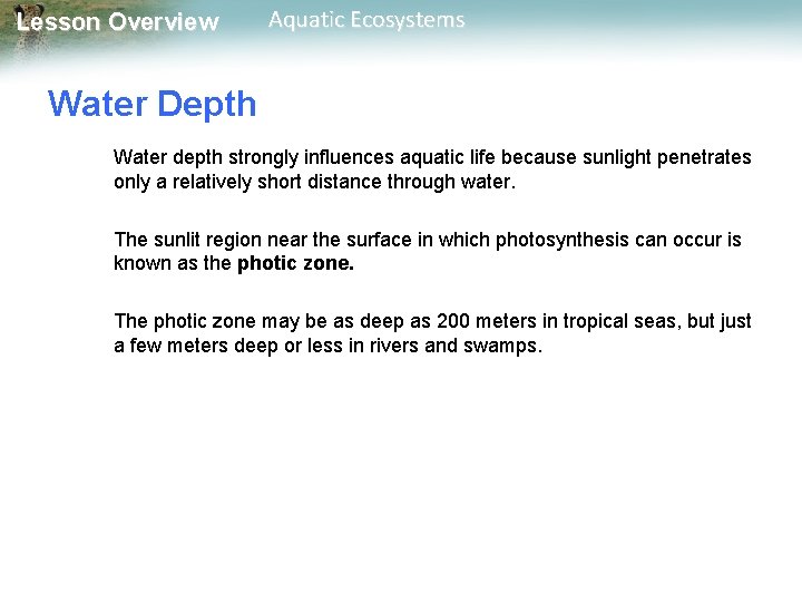 Lesson Overview Aquatic Ecosystems Water Depth Water depth strongly influences aquatic life because sunlight