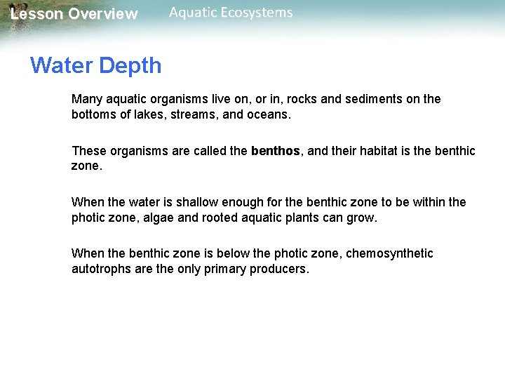 Lesson Overview Aquatic Ecosystems Water Depth Many aquatic organisms live on, or in, rocks