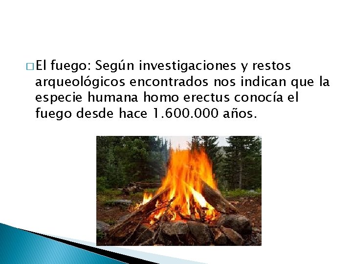 � El fuego: Según investigaciones y restos arqueológicos encontrados nos indican que la especie