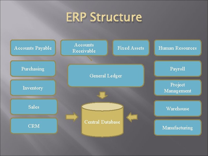 ERP Structure Accounts Payable Accounts Receivable Fixed Assets Purchasing Human Resources Payroll General Ledger