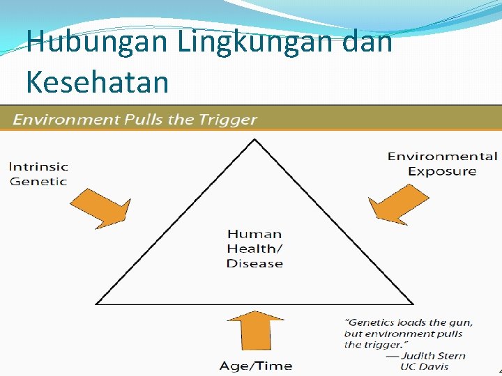 Hubungan Lingkungan dan Kesehatan 