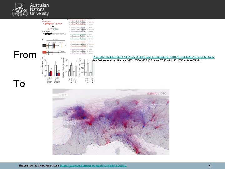 From A coding-independent function of gene and pseudogene m. RNAs regulates tumour biology by