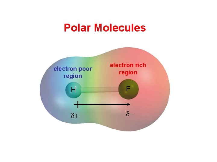 Polar Molecules electron poor region electron rich region H F d+ d- 