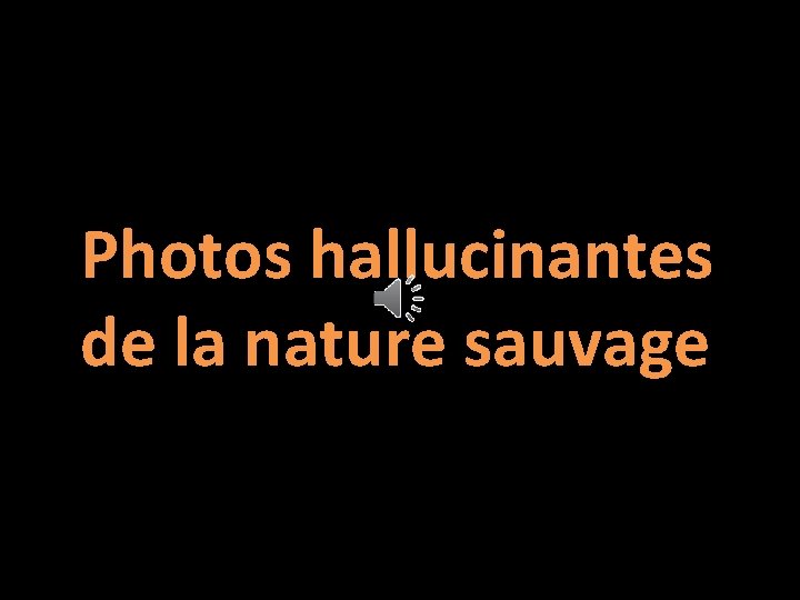 Photos hallucinantes de la nature sauvage Photos hallucinantes de la nature sauvage