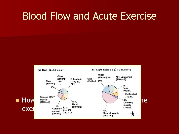 Blood Flow and Acute Exercise n How can even more blood be sent to