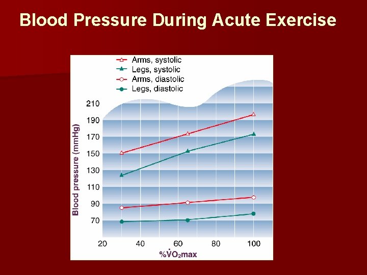 Blood Pressure During Acute Exercise 